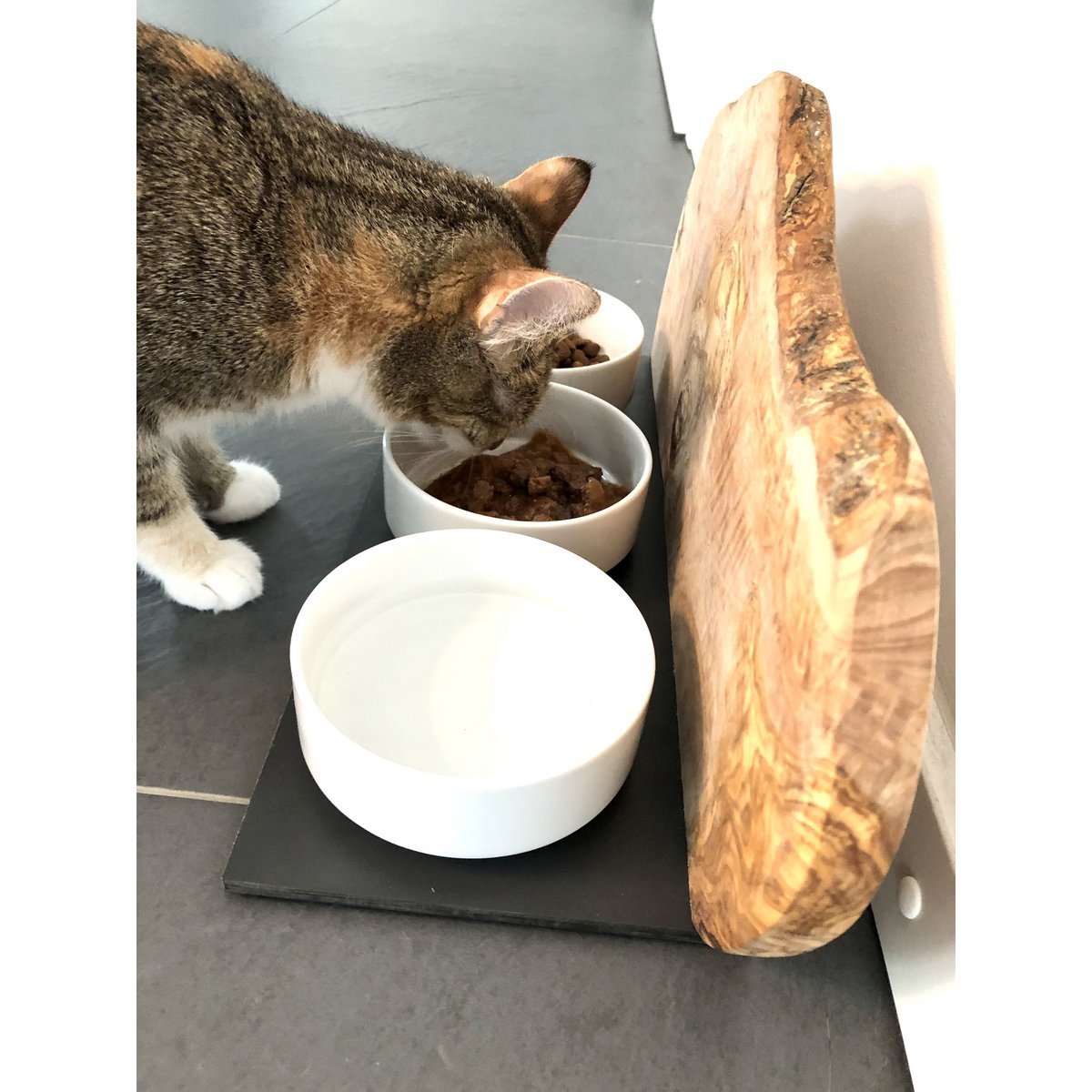 Prachtig voerstation voor je kat van olijfhout met 3 bakken