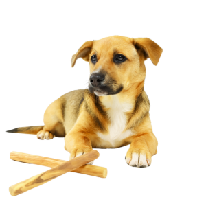 Olijfhouten kauwbotten voor  honden of katten (set van 3)