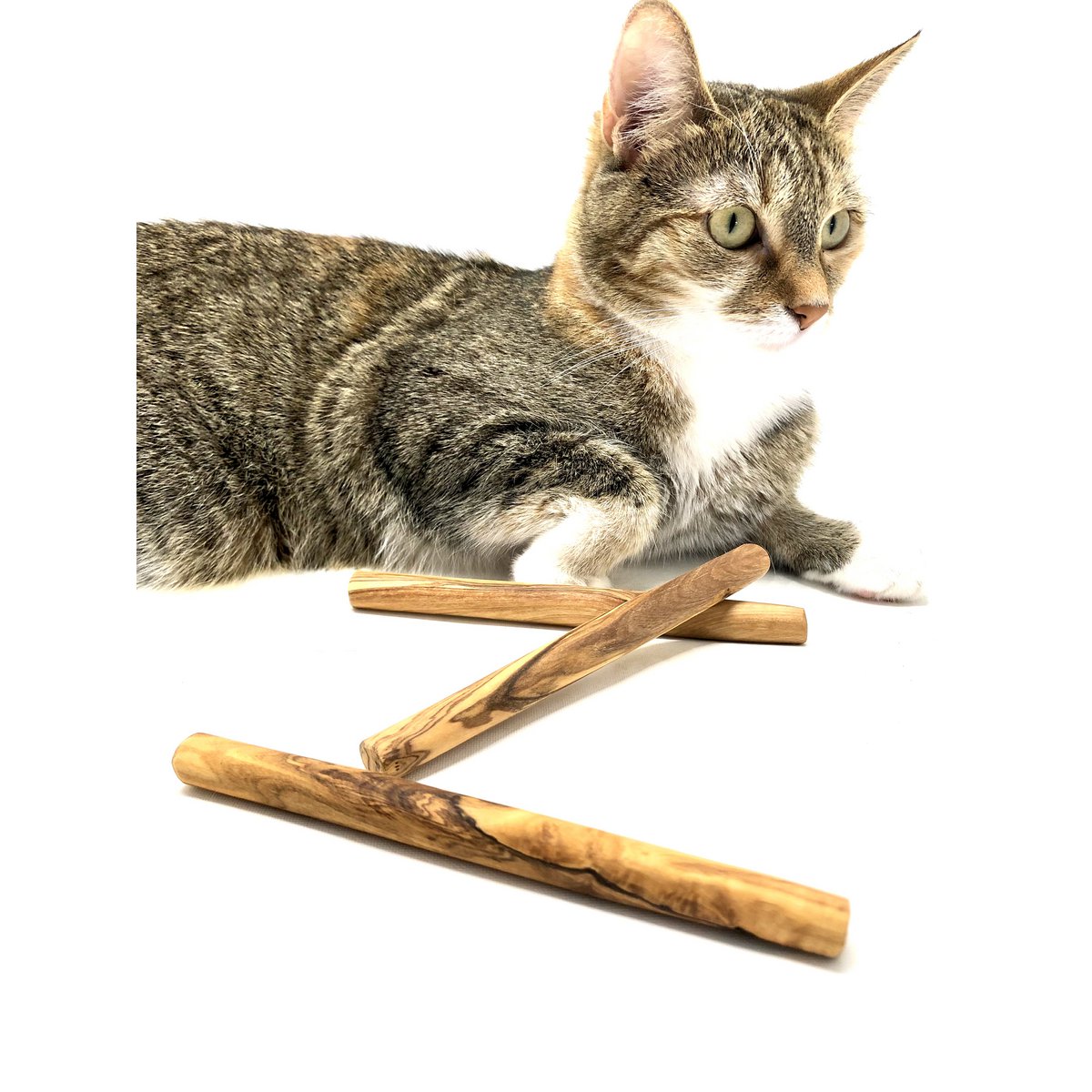 Olijfhouten kauwbotten voor  honden of katten (set van 3)