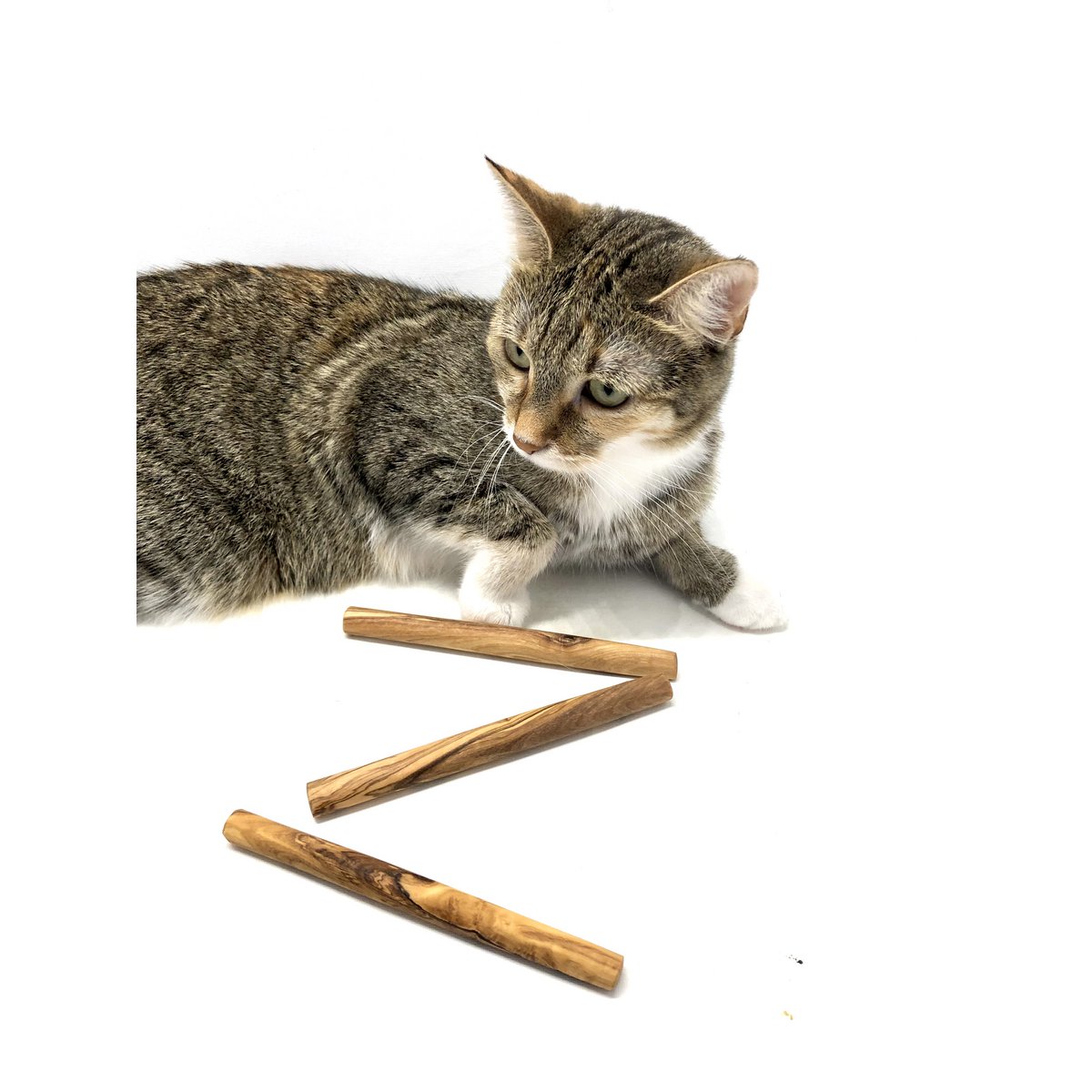 Olijfhouten kauwbotten voor  honden of katten (set van 3)